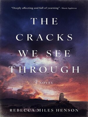 cover image of The Cracks We See Through